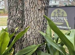 bald-cypress-builders-sign-next-to-tree-and-plants