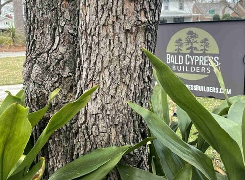 bald-cypress-builders-sign-next-to-tree-and-plants